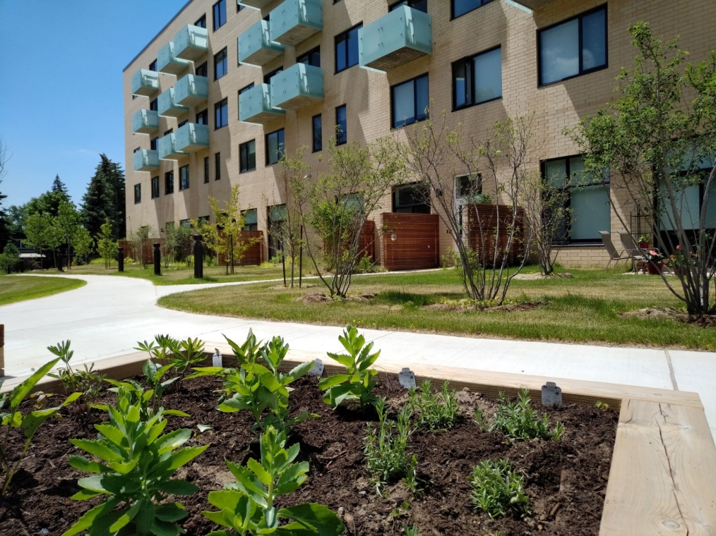 Toronto Seniors Housing Senior Care Access